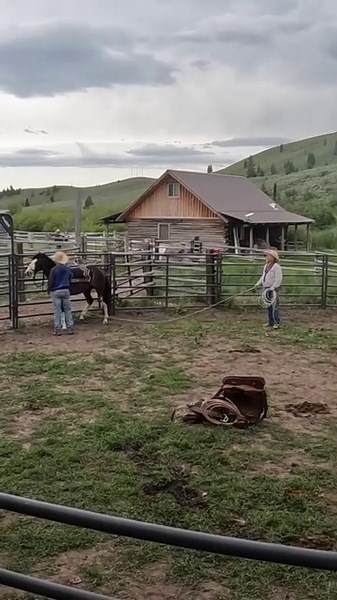 5.7K views · 277 reactions | We love seeing horses make progress as we spend time working with them. . . What do you love about training horses? . . . #Horses #HorseTraining #Colts #Ranch #RanchLife #Cowboy #Saddle #RoundPen #Idaho #SilverSpurRanchIdaho | Silver Spur Ranch Idaho | Facebook