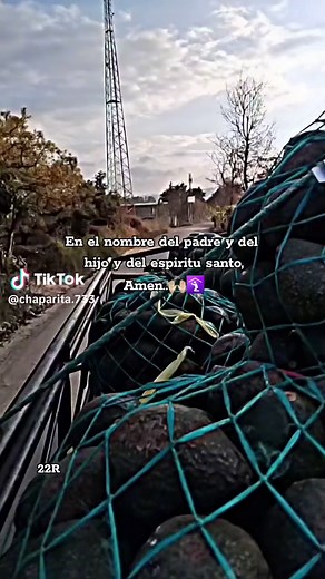 chaparita733 on TikTok