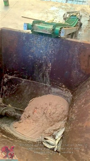 Efficient Animal Feed Grinding Process #tools #shorts #viral #creative #video