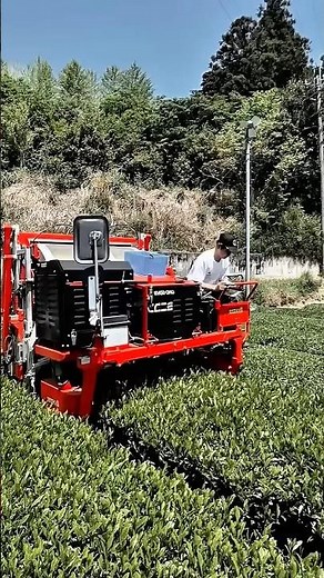 Modern Tea Harvester Work Tool Agriculture Technology for time saving work