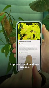 10K views · 29 reactions | Got plant problems? We've got solutions! PlantIn's latest update helps you identify common plant diseases in just a few clicks. Watch the video to learn more! Download now: plantin.onelink.me/RuYW/978c4cfc  | PlantIn: AI Plant Identifier | Facebook
