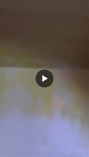 Trainee Seamen: Palm Oil Cargo Hold Cleaning Procedures | Akshay Solanki posted on the topic | LinkedIn