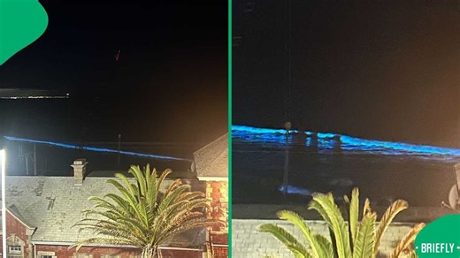 Cape Town beach glows at night as bioluminescence draws a huge crowd