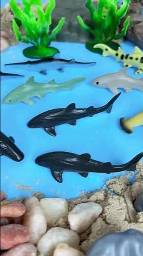 Fun SHARKS Counting - Education for Kids!!