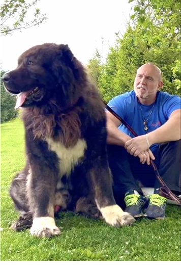 It's incredible how much the little one looks like her father.#jozodogs #dog #pet #dogs #doglover