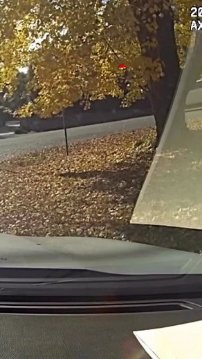 12K views · 1.6K reactions | Better to write a ticket than a crash report 茶 | Fairfax County Police Department | Facebook