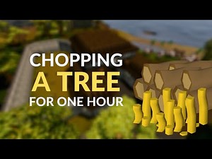 [OSRS] CHOPPING A TREE FOR ONE HOUR | F2P MONEY MAKING