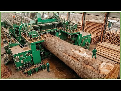 Inside the Largest Wood Sawmill Factory – How Plywood Is Made From Logs to Table (Full Process)