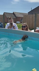 272K views · 7.6K reactions | Maltipoo Arlo is a great little swimmer  | Canine Dip and Dive Maldon | Facebook