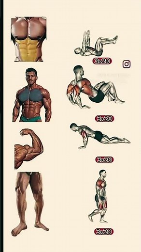 Musculation Maison : Résultats RAPIDES 💪 #shorts #shortsviral #musculation