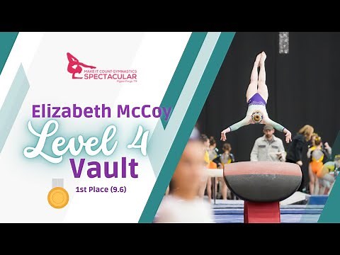 Level 4 Vault (9.6) - Make It Count 2024