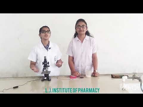 WBC count using Neubauer chamber