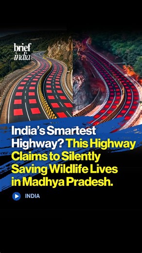 The Brief India on Instagram: "India’s First Wildlife-Safe Highway Launched on NH-45 in Madhya Pradesh. The National Highways Authority of India (NHAI) has introduced India’s first wildlife-safe road on National Highway 45 in Madhya Pradesh, designed to reduce animal-vehicle collisions while balancing highway development with wildlife conservation. This pioneering initiative runs through an ecologically sensitive 11.96 km stretch near the Veerangana Durgavati Tiger Reserve and Nauradehi Wildlife