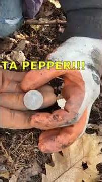 Short #205 - SLQ, Metal Detecting with the Nokta Makro Simplex. #metaldetecting