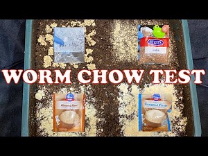 How to Test Worm Chow Ingredients + New VermiHut Tray Feeding | Vermicompost Worm Farm