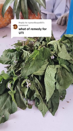 Effective Home Remedies for Urinary Tract Infection