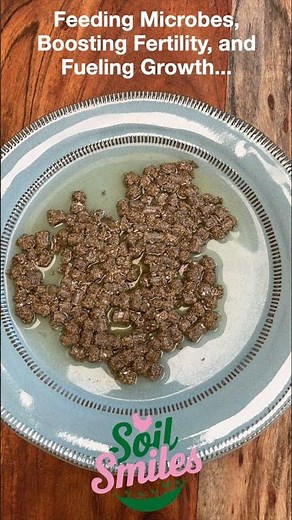 Watch Chicken Manure Pellets Grow - Perfect for Home Gardens & Lawns | Soil Smiles