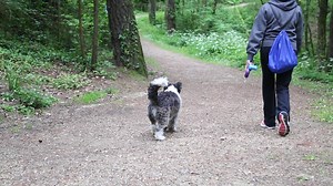 So are we really going to the park . Because you said that last time and we ended up You-Know-Where. | Get Inspired & Be Positive