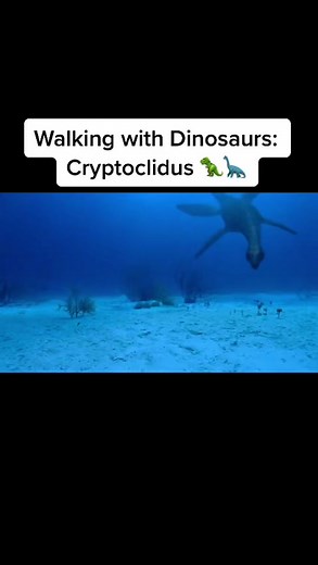 One of my favorite episodes of Walking with Dinosaurs 😎🦖. #WalkingWithDinosaurs #JurassicPeriod #MesozoicEra #Cryptoclidus #Plesiosaur #PrehistoricLife #Dinosaurs #Paleontology #PaleontologyTikTok