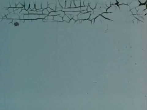 Old Film Overlay White Screen (Free To Use)