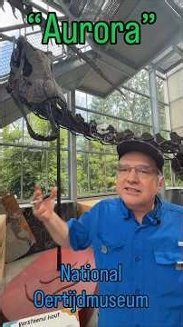 This Sauropod Skeleton Has a Complicated Identity