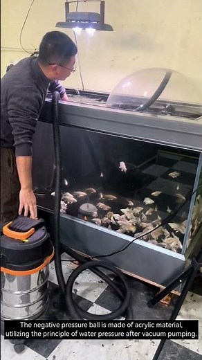 Negative pressure fish tank