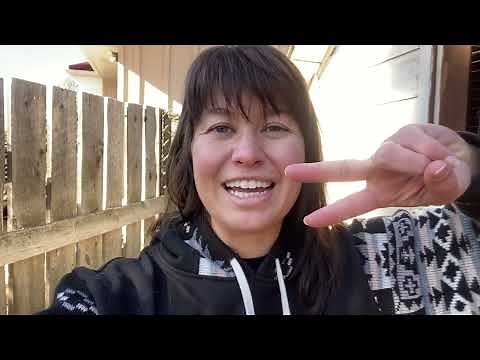 How to Know When to Breed Your Female Rabbit for the first Time