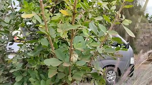 1K views · 46 reactions | Finetune School Of Music on Reels | Facebook