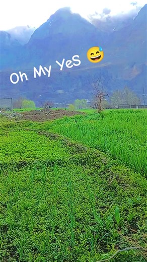 Oh My YeS: A Fun Expression of Excitement