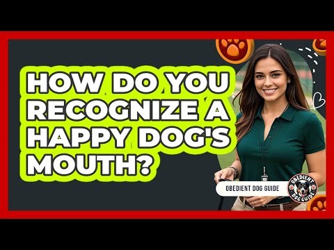 How Do You Recognize a Happy Dog's Mouth?