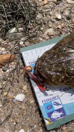 Fishing Flathead with Precision Gear by Ark Genesis