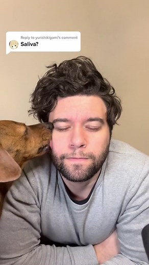 Microscopic Close-Up of Dog Saliva – What’s Really in There?