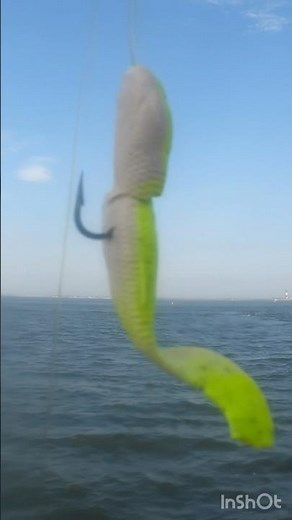 Two Nasty GULP Minnow Baits - One Fish #baitfishing #gulp #bait #pierfishing #nasty #fishingshorts
