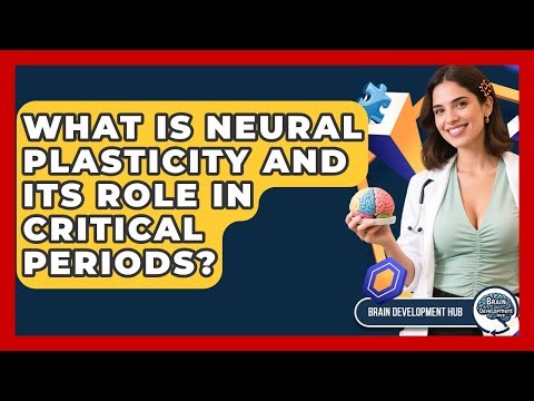 What Is Neural Plasticity And Its Role In Critical Periods? - Brain Development Hub