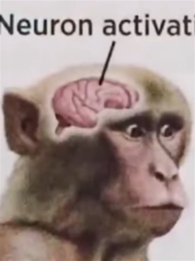 Understanding MLP Neuron Activations in Friendship is Magic