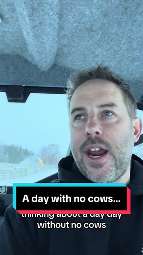 Best Cow Songs for a Fun Sing-Along | Fluffy Feather Farm