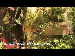 Lens Test: Hanimex 135mm F2.8 lens, m42 to EOS