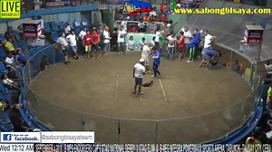 BMEG ENDORSERS CUP SEPT 4 ELIMS (lateupload) ENTRY NAME: KARDO Breath taking WIN using a boston RH stag. Highlight of this fight for me is that dehado pa kami sa rueda pati nadin sa DJ hehehehe ! :) but still thankful for the win. (y) #ToGODbetheGLORY #KhalDrogoGameFarm | KhalDrogo GF