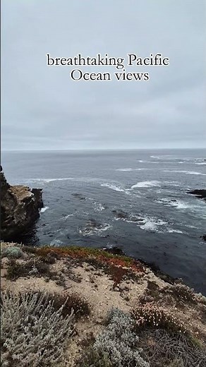 Point Lobos 🌊 A Must-Visit in Monterey & Carmel | California's Crown Jewel