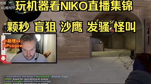玩机器看NiKo直播集锦：颗秒、连杀、搞怪和发骚_精彩集锦