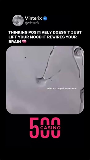 Your brain literally reshapes itself based on what you focus on. This is called Hebb’s Rule: “neurons that fire together, wire together.” If you think about fear or problems all day, your brain builds pathways of anxiety. But if you return your attention to what’s good — you’re building roads to resilience and calm. The brain works by dominance. Whatever thoughts get the most energy — become the “main route.” Everything else fades into the background. That’s why people obsessed with problems sto