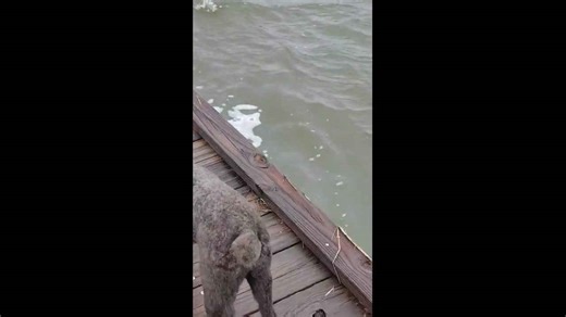 Pier boardwalk flooded by high tide in Emerald Isle, North Carolina