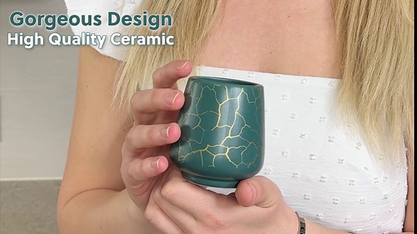 Matcha Whisk Set with Bamboo Whisk, Authentic Ceramic Matcha Bowl with Spout - Matcha kit Whisk and Bowl for Ceremonial Grade Matcha Tea with Stylish Design and Book