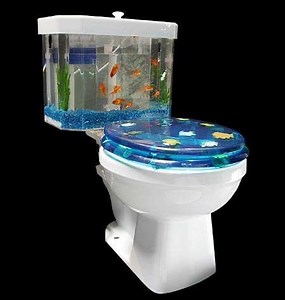 Toilet Tank Aquariums