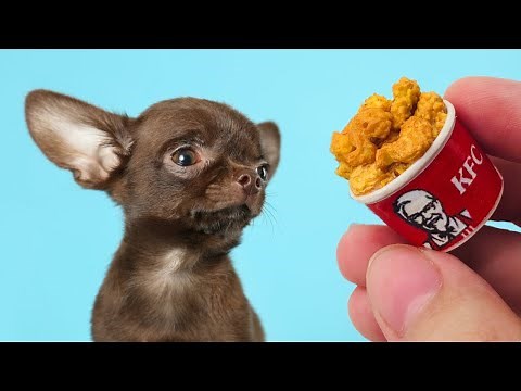 Making Tiny Foods for a Tiny Rescue Dog 🍩🍔🐶