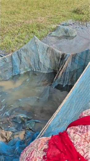 #fishing #pujapritamofficial || smalest fis