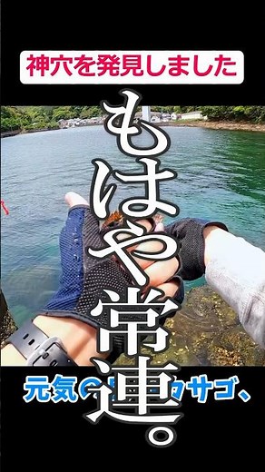 【穴釣り】色んな魚が釣れる神穴を発見しました。 #釣り #fishing #穴釣り #カサゴ #高級魚