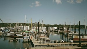 Moving to Olympia, WA: 2026 Relocation Guide | moveBuddha