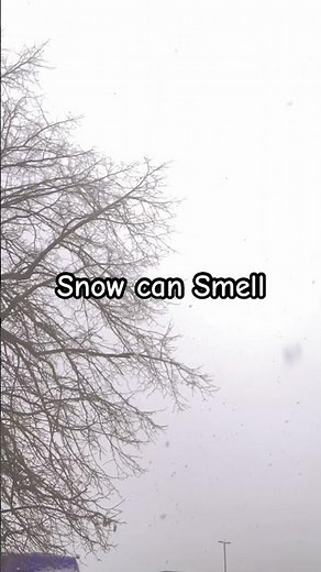 The Cold Truth About Snow ❄️