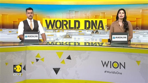 42nd Weifang International Kite Festival: Colorful kites from 51 countries take flight in Shandong